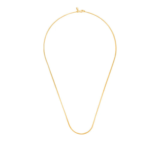 SNAKE BONE CHAIN NECKLACE (Gold)